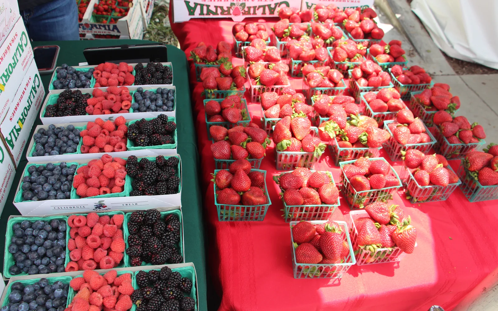Strawberries displayed at the Garden Grove Strawberry Festival